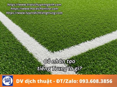 Cỏ nhân tạo tiếng Trung là gì? 1 Cỏ nhân tạo tiếng Trung là gì?