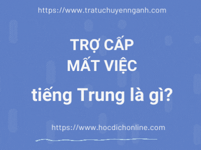 Trợ cấp mất việc tiếng Trung là gì?