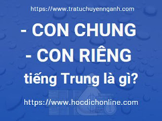 Con chung - Con riêng 5 con20chung