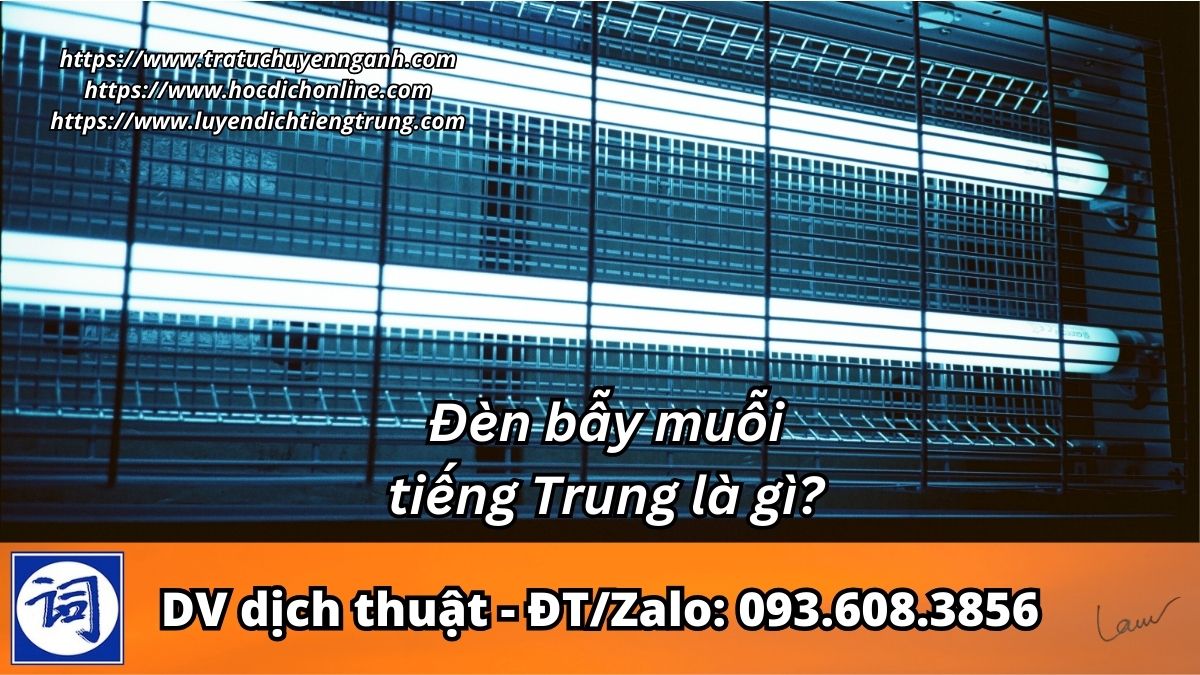 Đèn bẫy muỗi – bẫy côn trùng tiếng Trung là gì?