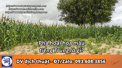 Phá hoại hoa màu tiếng Trung là gì?