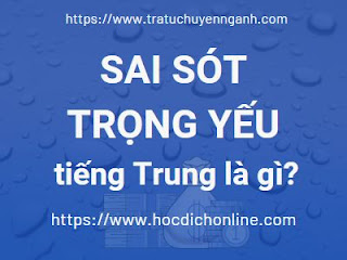 Sai sót trọng yếu tiếng Trung là gì?