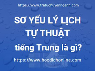 Sơ yếu lý lịch tự thuật tiếng Trung là gì?