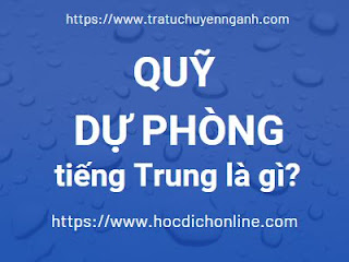 Quỹ dự phòng tiếng Trung là gì?