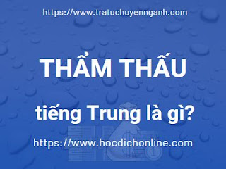 Thẩm thấu tiếng Trung là gì? 13 Thẩm thấu tiếng Trung là gì?