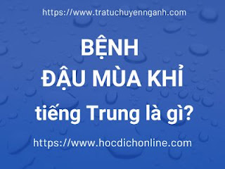 Bệnh đậu mùa khỉ tiếng Trung là gì? 16 Bệnh đậu mùa khỉ tiếng Trung là gì?