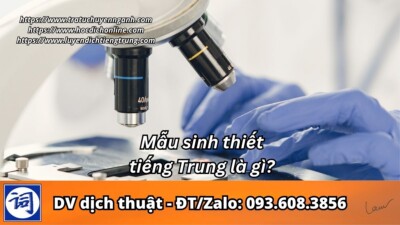 Mẫu sinh thiết tiếng Trung là gì?