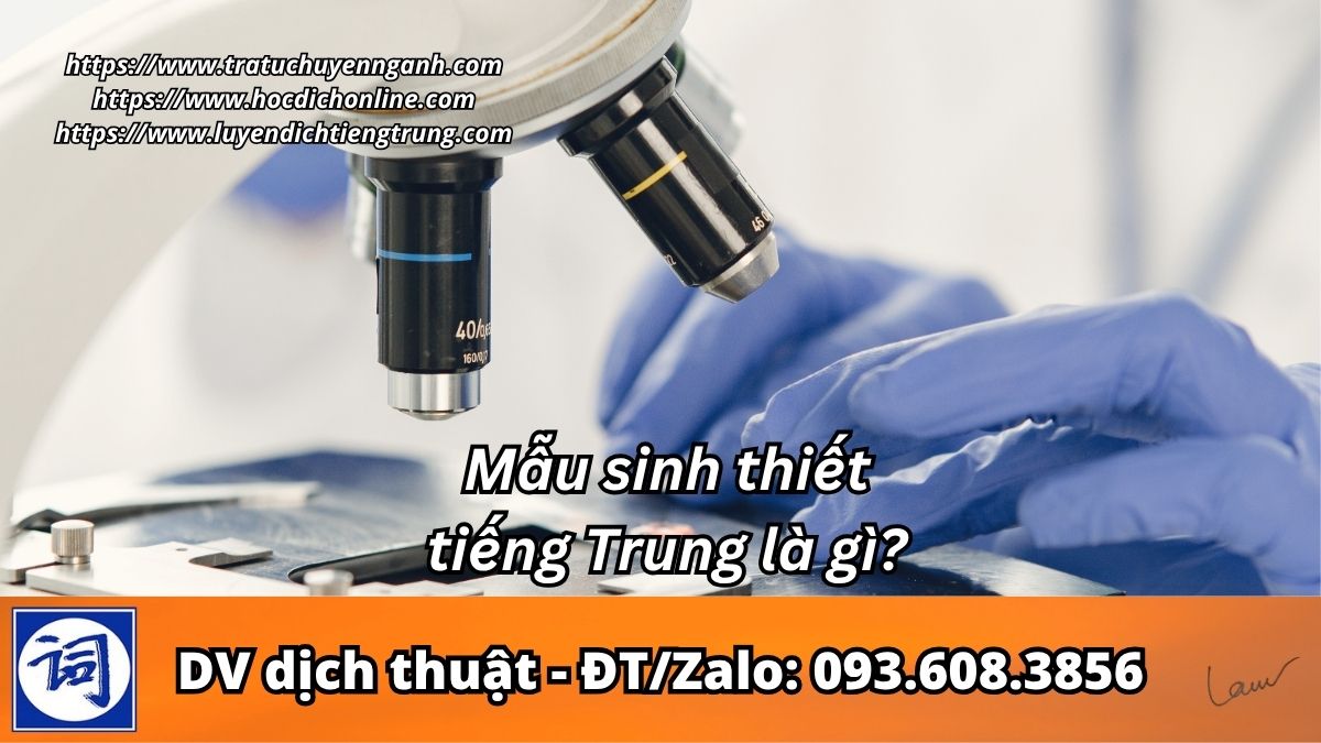 Mẫu sinh thiết tiếng Trung là gì?