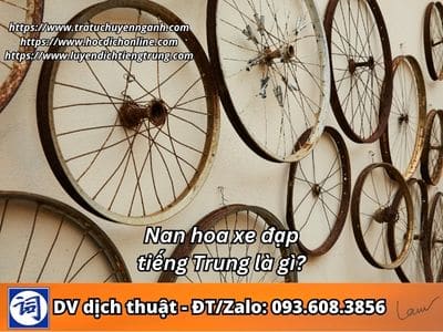 Nan hoa xe đạp tiếng Trung là gì?
