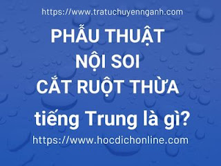Phẫu thuật nội soi cắt ruột thừa tiếng Trung là gì? 11 Phẫu thuật nội soi cắt ruột thừa tiếng Trung là gì?