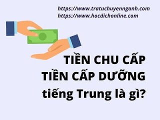 Tiền chu cấp, tiền cấp dưỡng tiếng Trung là gì? 15 Tiền chu cấp tiếng Trung là gì?