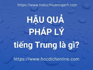 Hậu quả pháp lý tiếng Trung là gì? 11 Hậu quả pháp lý tiếng Trung là gì?