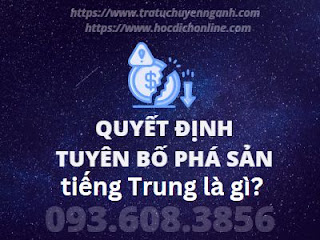 Quyết định tuyên bố phá sản tiếng Trung là gì? 6 Quyết định tuyên bố phá sản tiếng Trung là gì?