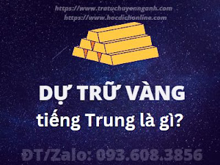 Dự trữ vàng tiếng Trung là gì? 10 Dự trữ vàng tiếng Trung là gì?