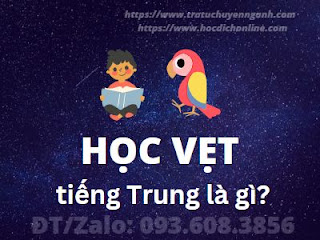 Học vẹt tiếng Trung là gì?