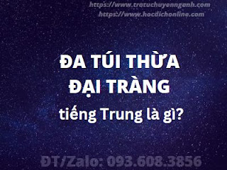 Đa túi thừa đại tràng tiếng Trung là gì? 6 Đa túi thừa đại tràng tiếng Trung là gì?