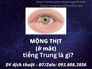 Mộng thịt (ở mắt) tiếng Trung là gì? 2 Mộng thịt tiếng Trung là gì?