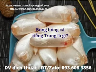 Bong bóng cá tiếng Trung là gì?