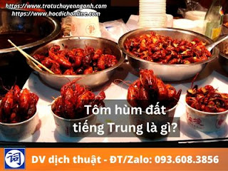 Tôm hùm đất tiếng Trung là gì?
