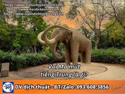 Voi Ma mút tiếng Trung là gì? 1 Voi Ma mút tiếng Trung là gì?