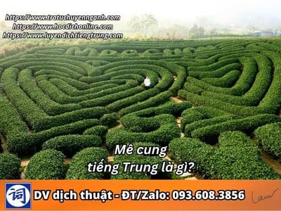 Mê cung tiếng Trung là gì?