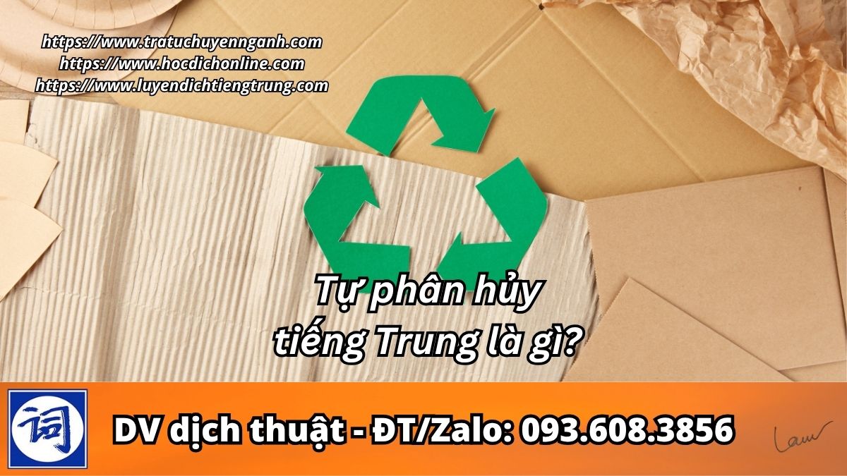 Tự phân hủy tiếng Trung là gì?