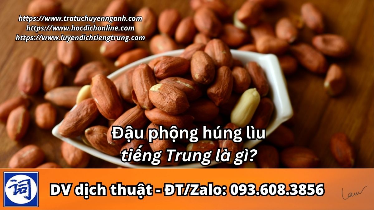 Đậu phộng húng lìu tiếng Trung là gì? 1 Đậu phộng húng lìu tiếng Trung là gì?